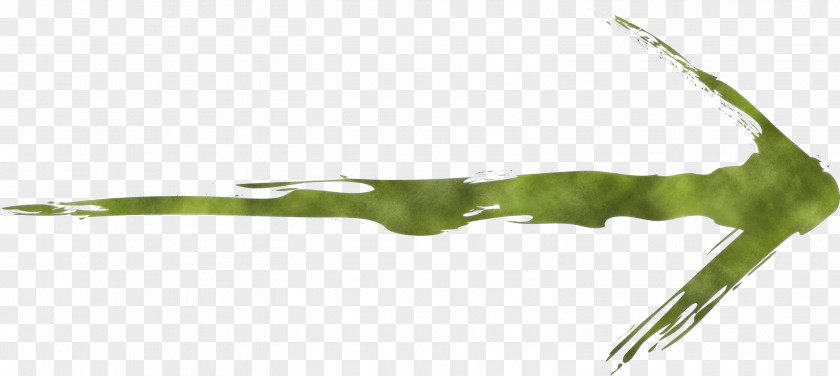 Brush Arrow PNG