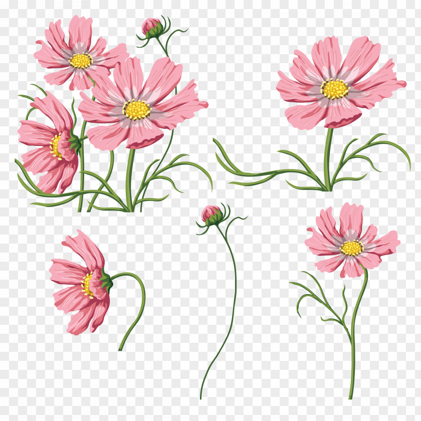 Flower Illustration Cut Flowers Raster Graphics Flora PNG
