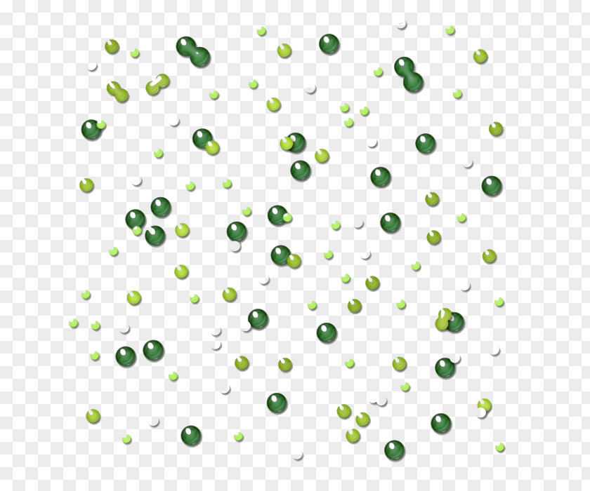 Line Point Green Graphics Leaf PNG