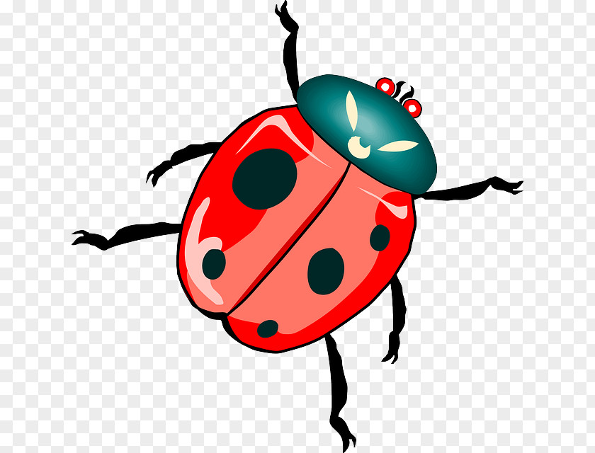 Beetle Clip Art Image Openclipart PNG