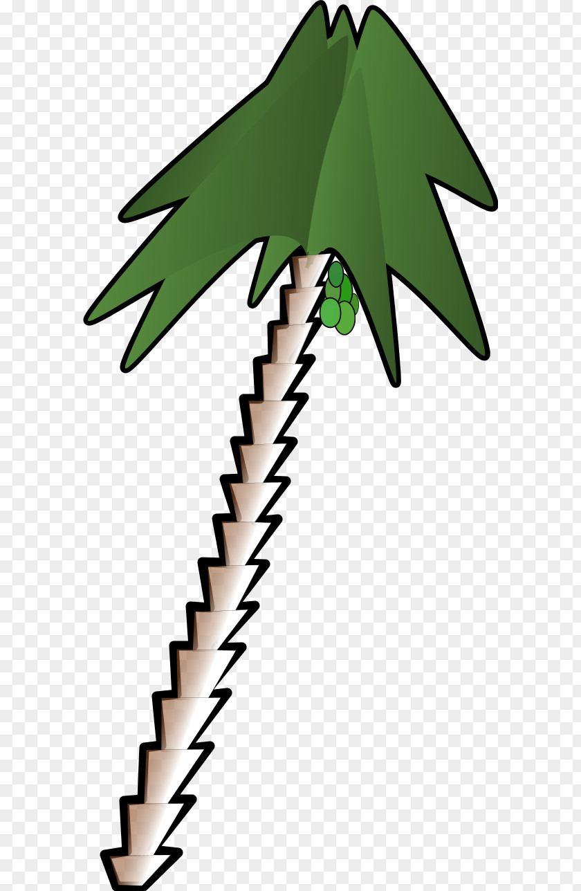 Cartoon Palmtree Arecaceae Clip Art PNG
