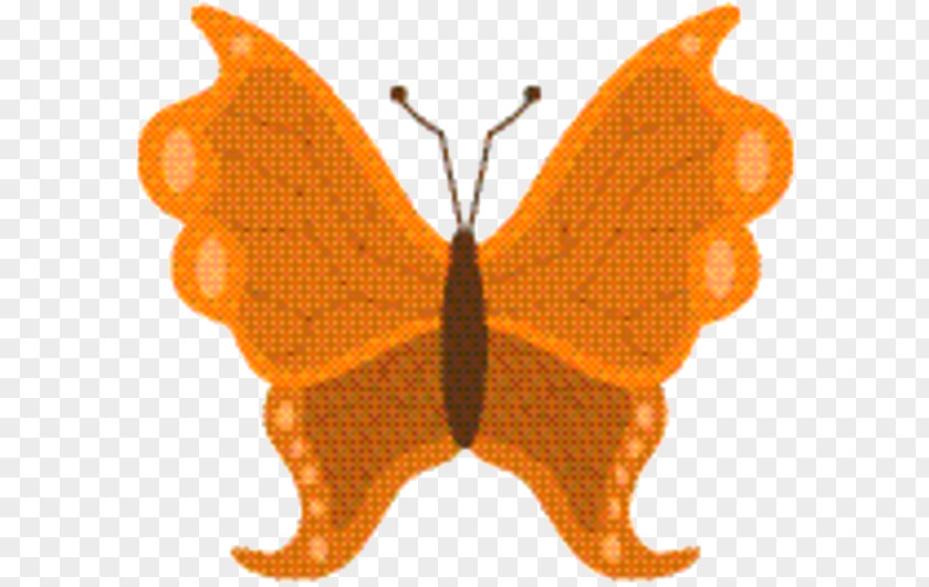 Emperor Moths Bombycidae Leaf Cartoon PNG