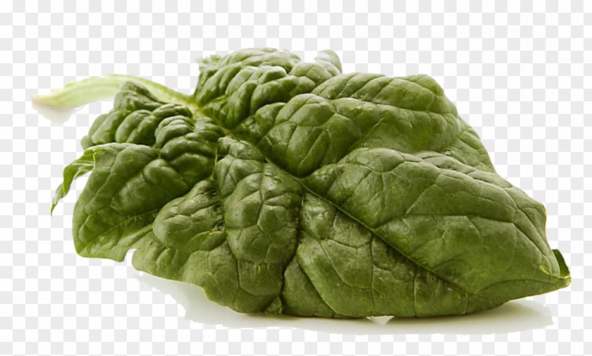 Green Leaf Vegetables Spinach Vegetable Food PNG