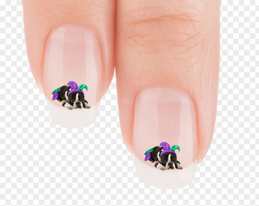 Nails Manicure Nail Polish Hand Model PNG