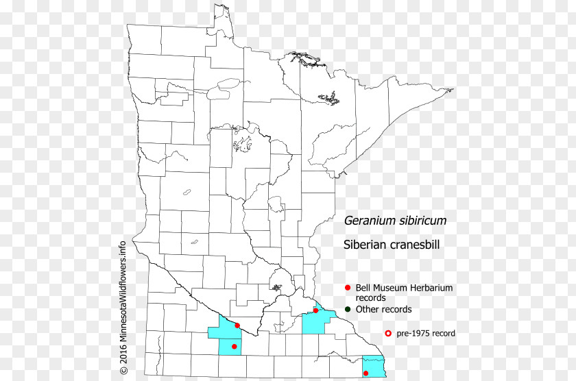 Siberian Crane Minnesota Drawing Land Lot Point PNG