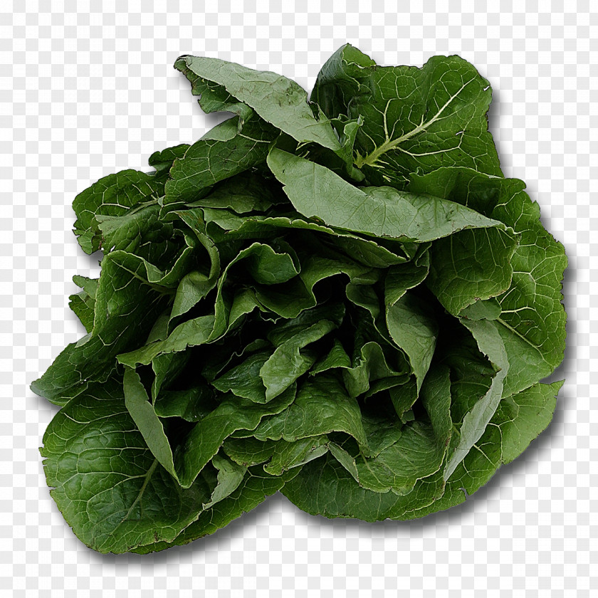 Spinach Salad Leaf Vegetable Food Cooking PNG
