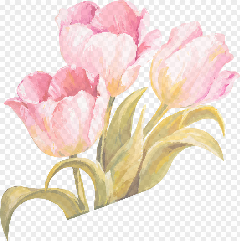 Tulip Watercolor Ribbon Vector 1 Painting Flower PNG