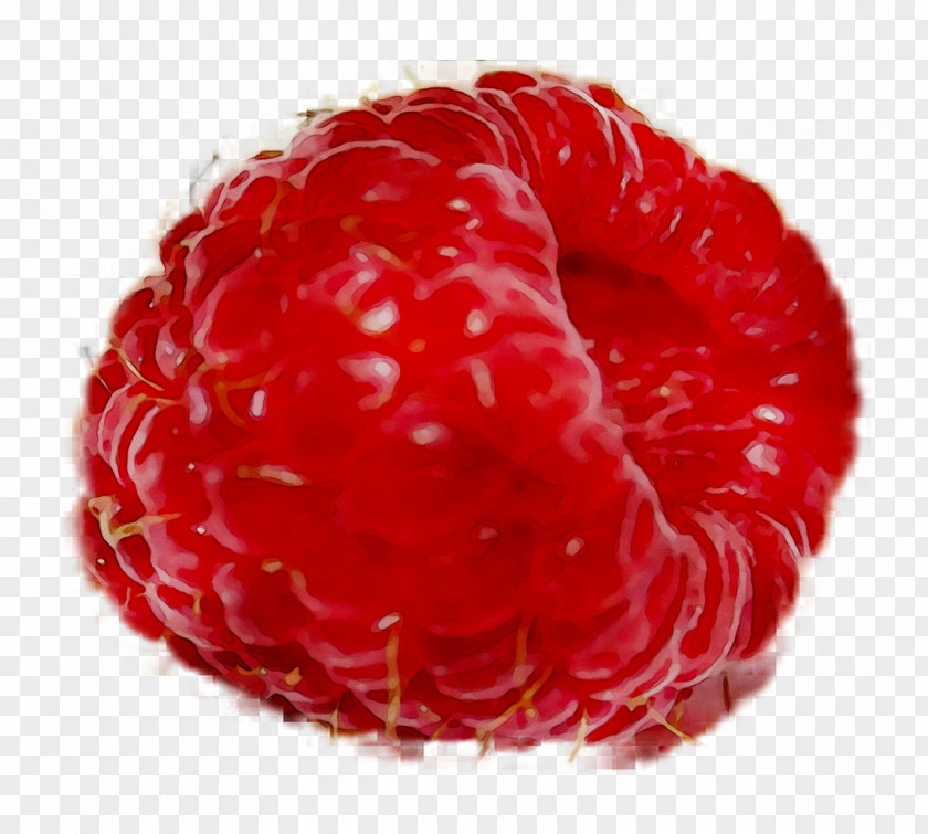 Berries Cranberry Fruit Raspberry Pi PNG