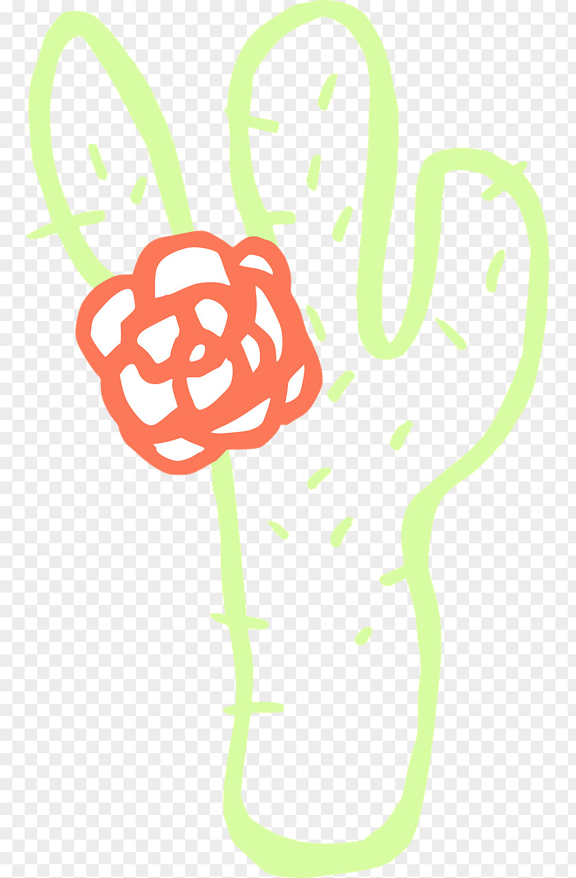 Cactus Cactaceae Succulent Plant Saguaro Clip Art PNG