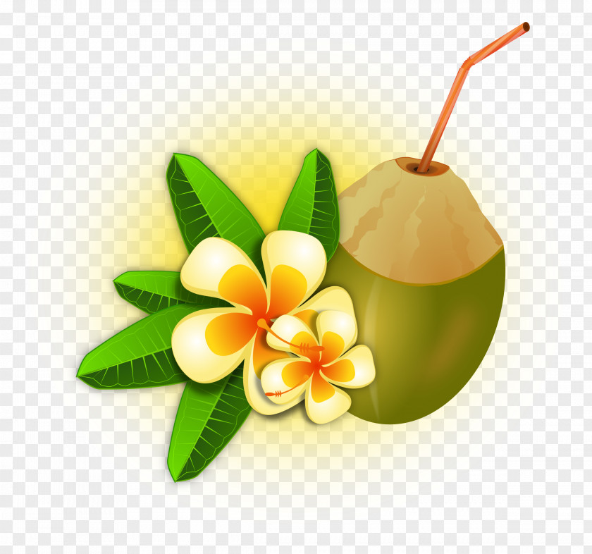 Coconut Cliparts Blue Hawaii Cocktail Cuisine Of Clip Art PNG