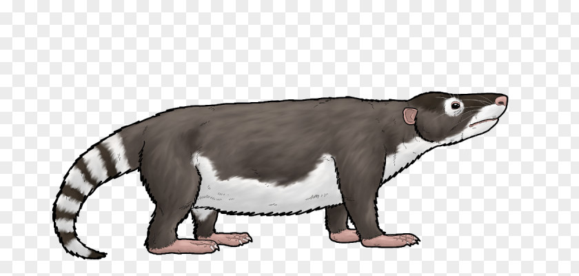 Dinosaur Repenomamus Mammal Drawing Canidae Animal PNG