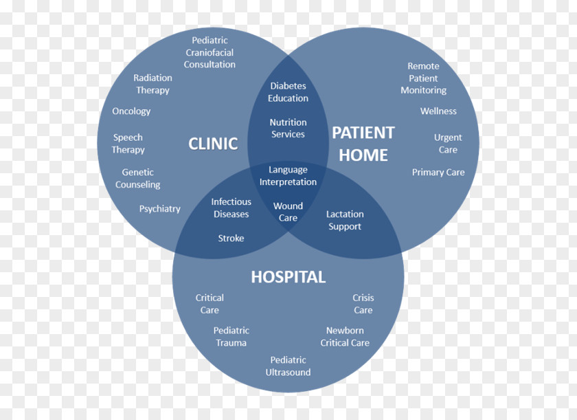 Ganapathy Venn Diagram Telehealth Telemedicine Circle PNG