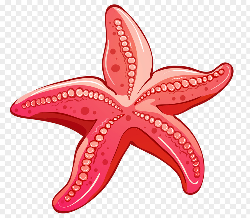 Red Starfish PNG