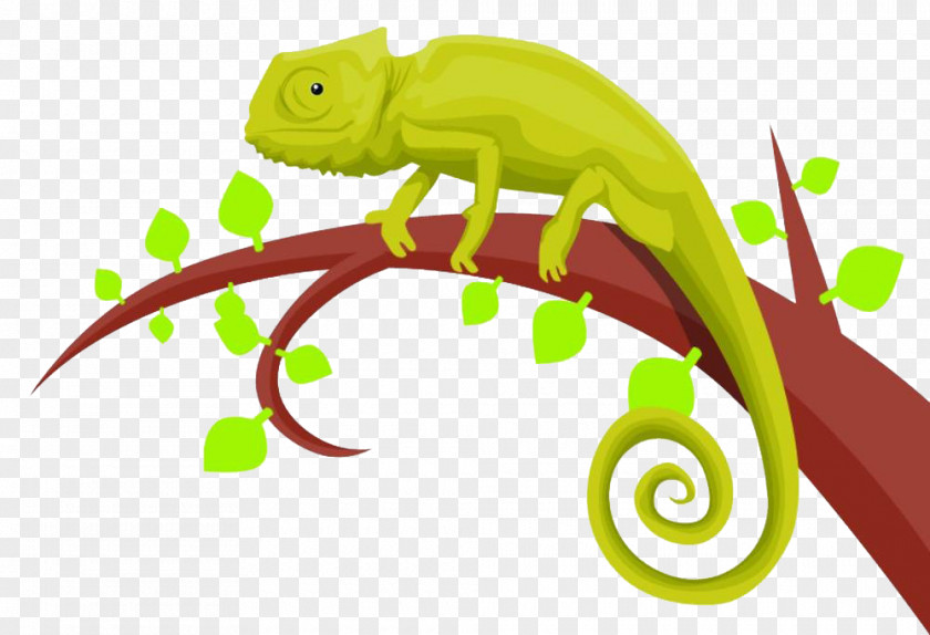 Chameleon On The Branches Chameleons Royalty-free Illustration PNG