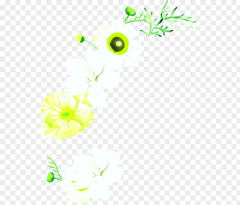 Chrysanthemum Flower PNG