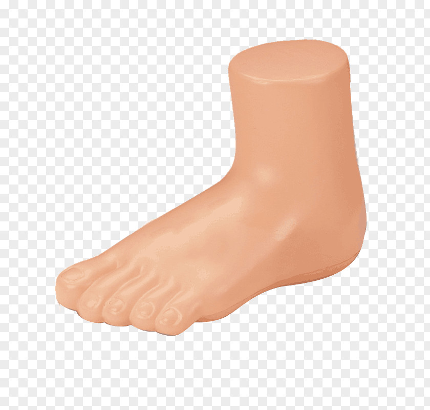 Feet Foot Mannequin Shoe Sock Sandal PNG
