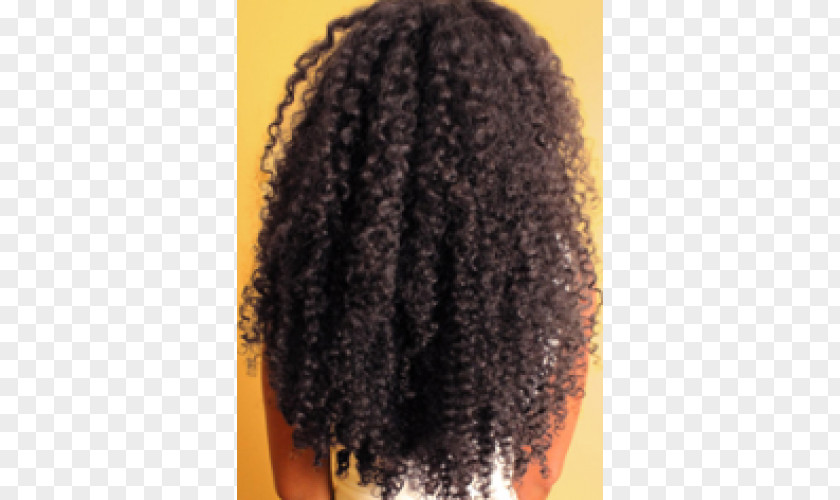 Hair Wig Jheri Curl Long Afro PNG