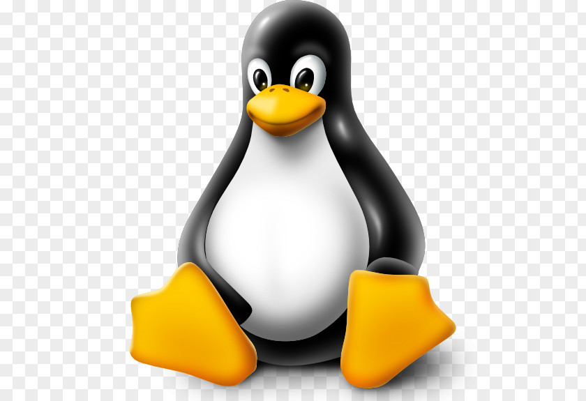 Linux Tux Arch Distribution Ubuntu PNG