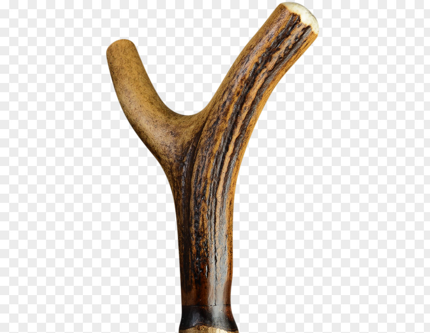 Deer Antler Red Horn Bastone PNG