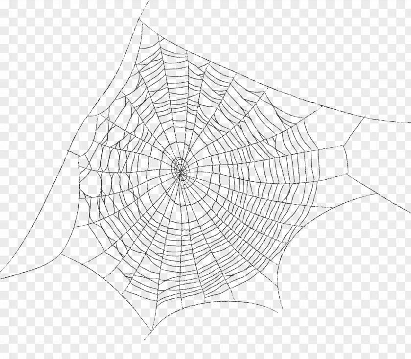 Spider Web Pattern Cartoon Decoration PNG