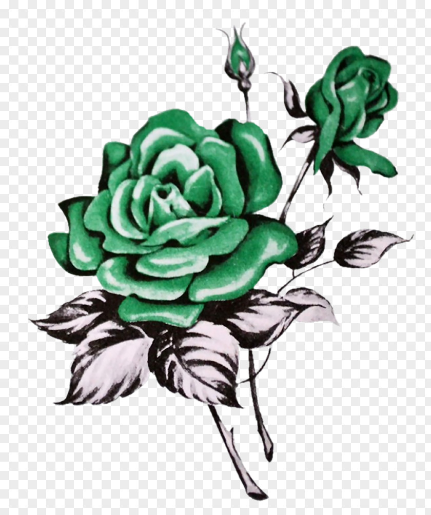 Design Garden Roses Cabbage Rose Floral PNG