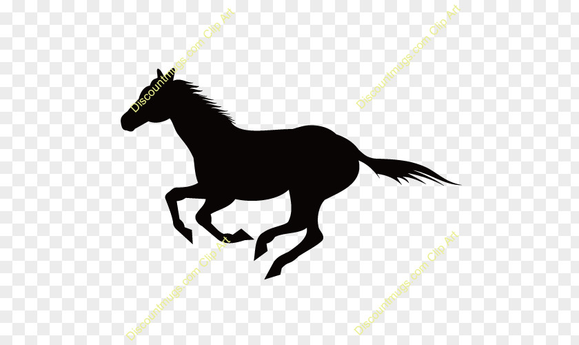 Horse Wall Decal Sticker Cattle PNG