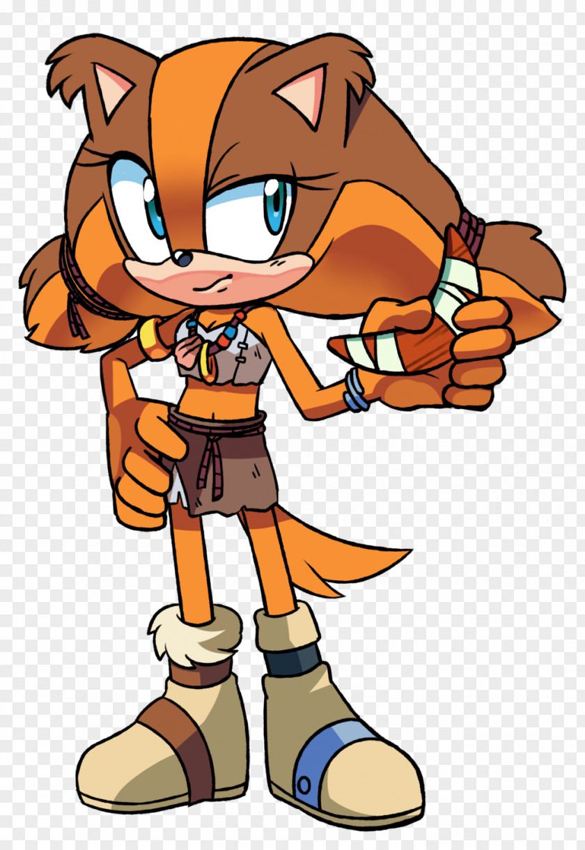 Sonic The Hedgehog Sticks Badger Amy Rose Boom European PNG