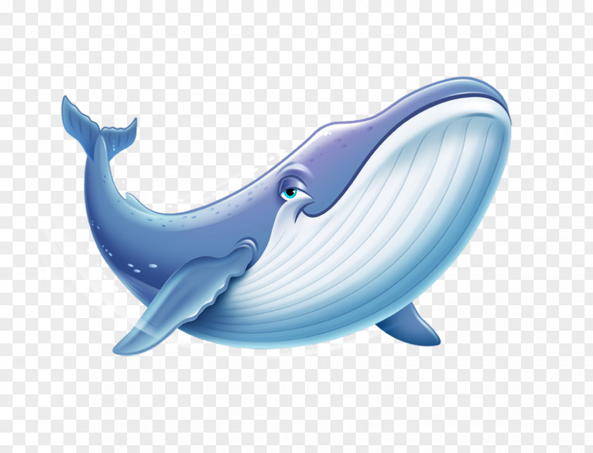 Whale Vacation Bible School Ocean Sea Clip Art PNG