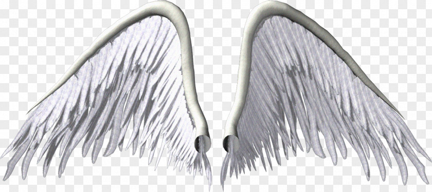 Angel Wing Clip Art PNG