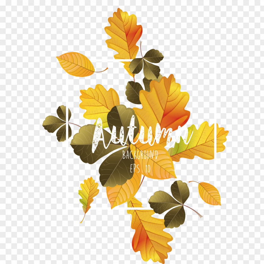 Autumn Leaves Poster Design Material Calendula Officinalis Common Sunflower Yellow Pattern PNG
