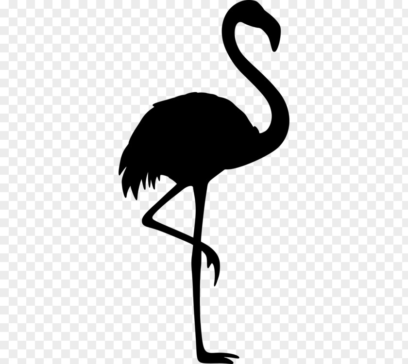 Bird Clip Art Beak Fauna Silhouette PNG