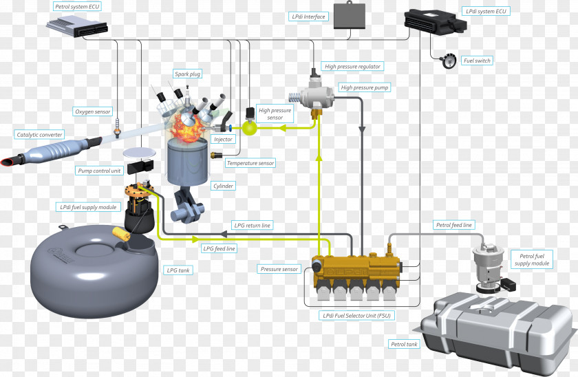 Car Fuel Injection Compressed Natural Gas Vialle Gasoline PNG