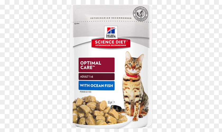 Cat Food Kitten Felidae Science Diet PNG