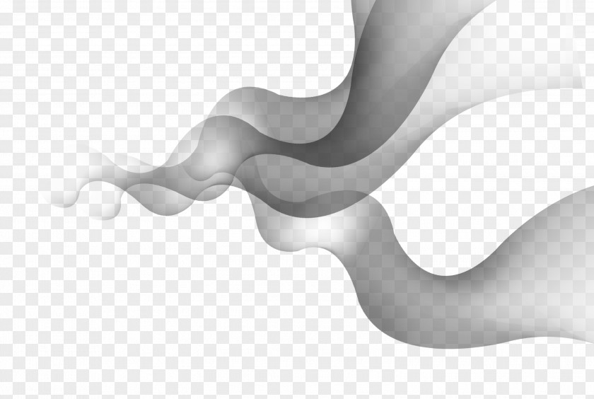 Dynamic Lines Black And White Download PNG