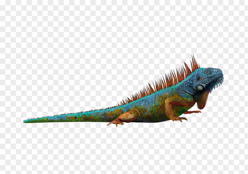 Lizard Reptile Green Iguana Shih Tzu PNG