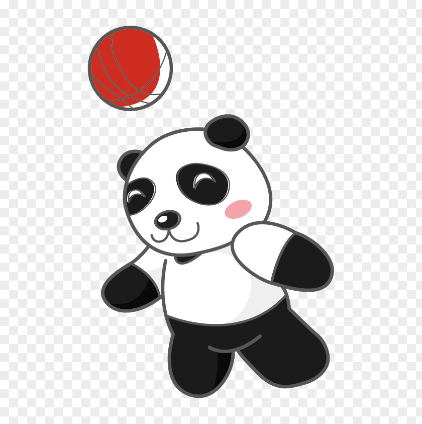 Panda Giant Bear Cartoon Illustration PNG