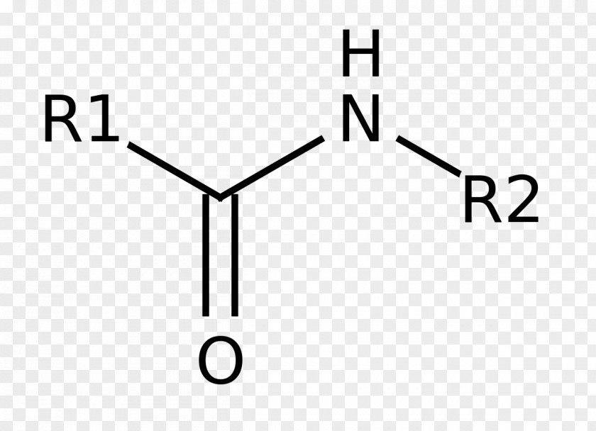 Peptide Pantothenic Acid Panthenol Baclofen Drug Mole Fraction PNG