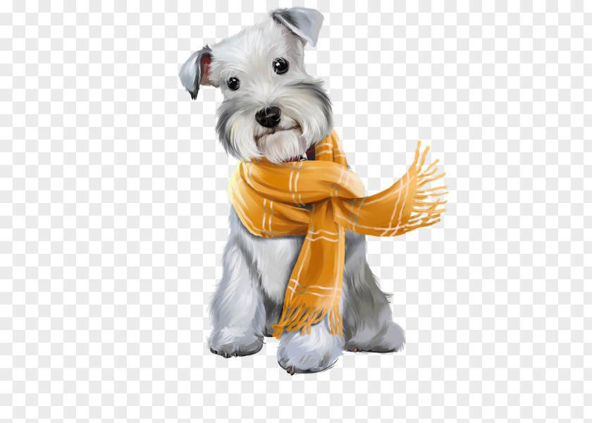 Puppy Miniature Schnauzer PNG