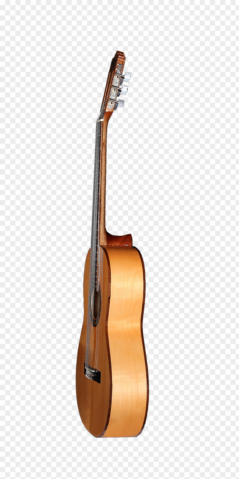 Acoustic Guitar Tiple Cuatro Cavaquinho Ukulele PNG