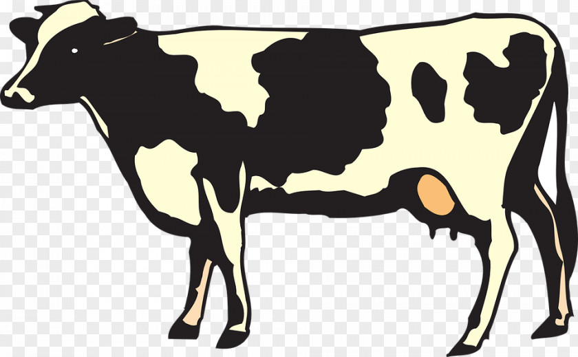 Bull Animal Figure Cow Background PNG