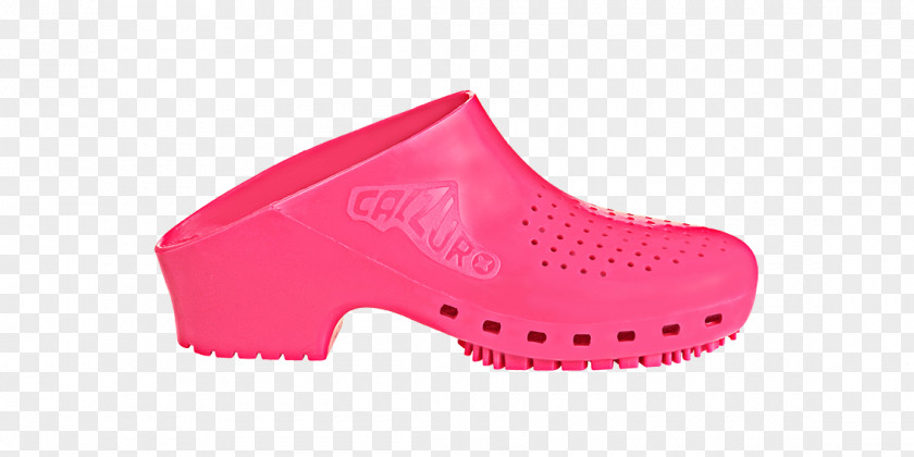 Fruit Stripe Clog Slipper Pink Shoe Footwear PNG
