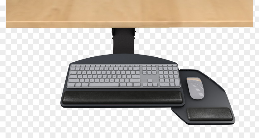 Laptop Space Bar Computer Keyboard Ergonomic Human Factors And Ergonomics PNG