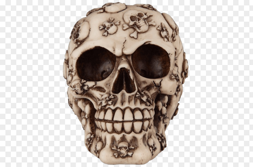 Skull Buccaneer Piracy Treasure Skeleton PNG