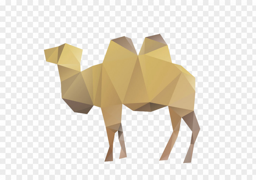 Camel Irregular Giraffe Euclidean Vector Illustration PNG