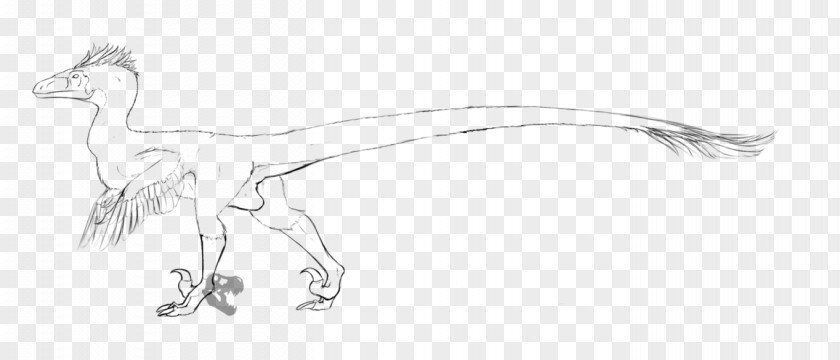 Horse Carnivora Drawing Line Art Sketch PNG