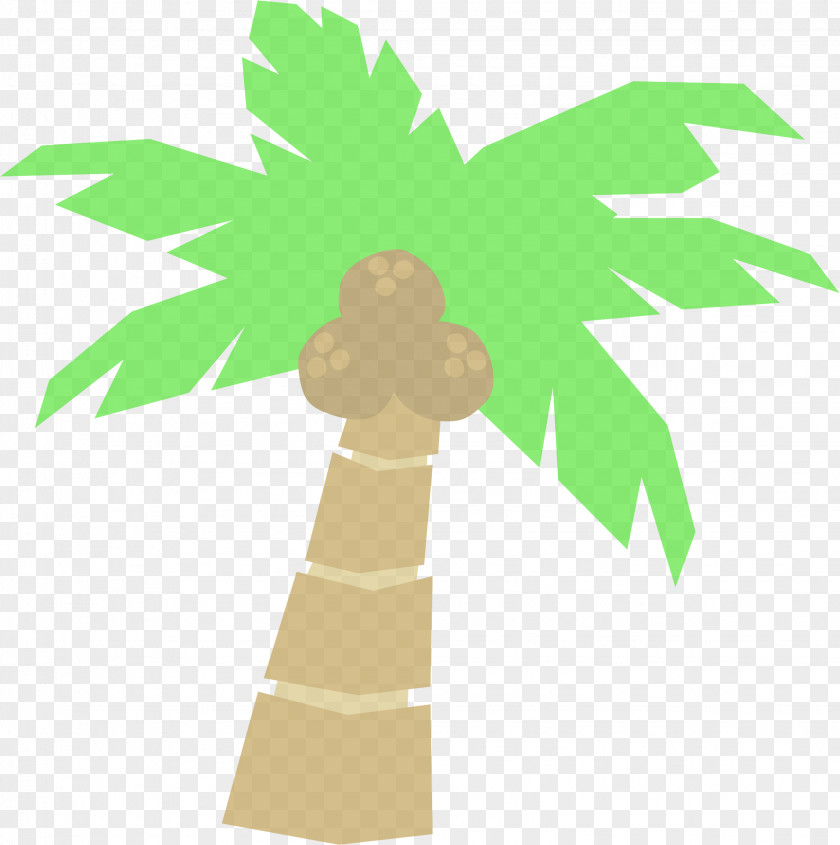 Plant Woody Palm Tree PNG