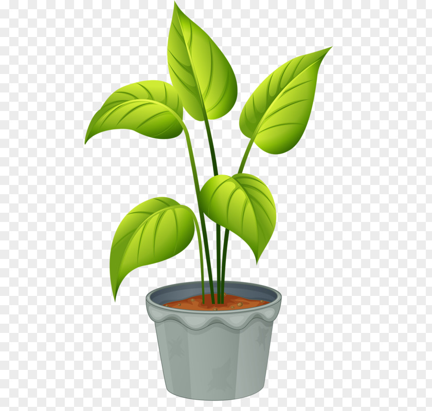 Potted Plant Flowering Clip Art PNG