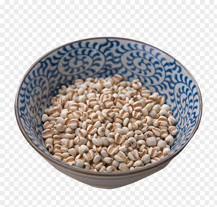 Barley Rice Bowl Adlay PNG