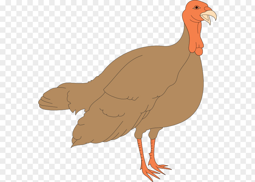 Chicken Black Turkey Meat Clip Art PNG