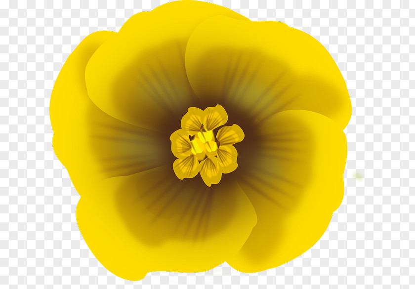 Flower Yellow Petal Clip Art PNG